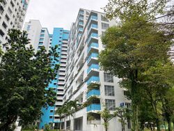 Blk 542 Jelapang Road (Bukit Panjang), HDB Executive #433850501